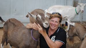 What is the best brand of goat cheese? Sunshine Coast Goat Cheese Producer S Masterchef Connection Queensland Country Life Queensland
