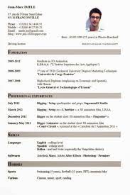 Contoh Curriculum Vitae Cv Bahasa Inggris Desain Resume Inggris Riwayat Hidup