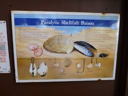 Image result for Paralytic Shellfish Poisoning