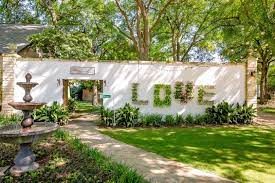Colorful Whimsical Spring Backyard Wedding In Austin Texas Backyard Wedding Hummingbird House Digital Weddings