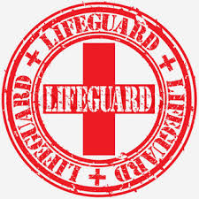 Image result for lifeguard symbols