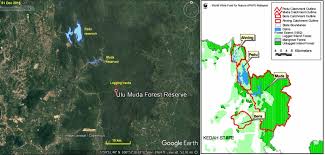 Satellite images show more forests being logged in Ulu Muda ...