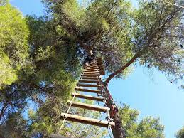 The park is an addictive network of tarzan swings and zip slides laid out over 50 acres of forest, about. Full Peripeteia Adventure Park Malakasa 19 10 2014 Fokeas