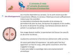 Dans ce cas, on prend pour repère de début de grossesse la date de conception. Ppt La Naissance Powerpoint Presentation Free Download Id 2277663