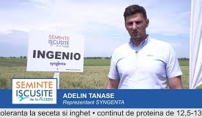 Legea Nr 62 2018 Privind Combaterea Buruienii Ambrozia Sănătatea Plantelor