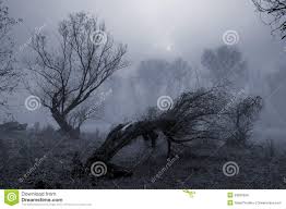 There's sort of a so this should be just slightly darker than the last thing that i put on. Creepy Landscape Painting Showing Dark Forest On Misty Day Stock Photo Image Of Landscape Horror 29506694