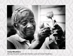 Daisy Spears's Instagram, Twitter & Facebook