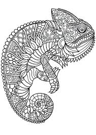 Butterfly animal mandala coloring page. Pin On Adult Coloring Pages