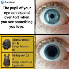 Gameloop Funny Gaming Meme The Pupil Of Your Eye Can Facebook