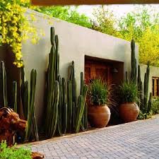 Backyard landscapes need to be functional as spaces that are useful as well as beautiful. Southwest Style Cactus On Guard Mexican Garden Landscape Design Desert Landscaping