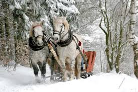 Candlelit restaurants, walks along the river, songs in a piano bar, horse drawn carriage rides and more. Winter Fun Horse Drawn Sleigh Rides In Wisconsin For 2020