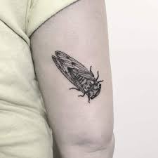 As a result, artisans created realistic cicada toggles for robes or girdles, often out of jade. 22 Cryptic Cicada Tattoo Designs And Where To Ink Them