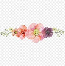 Download Floral Divider Png Image With Transparent Background Toppng