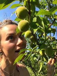 Kate Cioffi (@kate_cioffi)