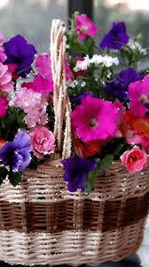 If you the share the animated dog flowers image from pandagif link on facebook or twitter, the dog flowers gif animation will play in the newsfeed, the profile page, the. Pin By Dolores On Flores Animadas Flower Pictures Flowers Gif Beautiful Gif