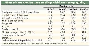 Hitting The Corn Plant Density Sweet Spot Hay And Forage