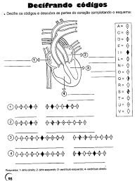 Ver más ideas sobre sistema circulatorio, aparato circulatorio, anatomia y fisiologia. Atividades Sobre Sistema Circulatorio