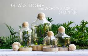 Blog How To Diy Japanese Marimo Moss Ball Terrarium Terrarium Domes Glass Terrarium Containers Cloche Decor
