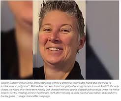 Have you been affected by Kristen A. Luscher's evaluations in family court?