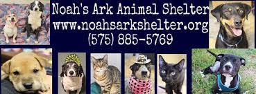 Noah's ark animal welfare association is a 501c3 organization. Noah S Ark Animal Shelter Home Facebook