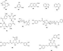 Image result for Psydrax locuples
