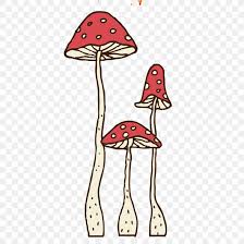Cartoon Drawing Mushroom Png 1000x1000px Cartoon Animation Art Color Drawing Download Free Here you can explore hq mushroom house transparent illustrations, icons and clipart with filter setting like size, type, color etc. cartoon drawing mushroom png