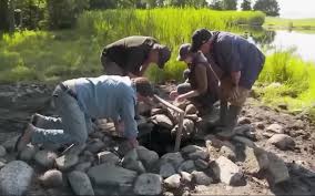 The cost of the drilling and who pays for it often comes up and this is  what I found. The drilling on Oak Island is funded by multiple sources: 1.  **[Marty Lagina