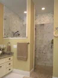 Bathroom Ideas Of Doorless Walk In Shower For Small Space Bathroom Perfect Door Less Walk In Shower Desig Doorless Shower Small Space Bathroom Open Showers