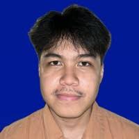 60+ "Theodore Nicolas" profiles