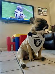 Pin By Jeff Fonville On Raider Nation Raiders Baby Oakland Raiders Football Raiders Football