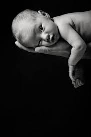 Babyshooting Im Fotostudio Newborn Photography Boy Newborn Baby Photos Baby Girl Newborn Photos