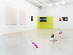 Bildergebnis für Shahin Afrassiabi