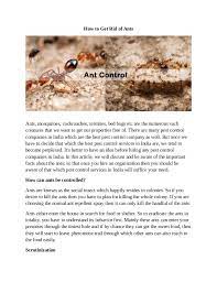 1:22 pest control services 4 672 просмотра. Pest Control Company