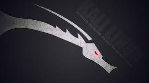 Kali Linux Wallpapers 1920x1080 Wallpaper Cave Support us by sharing the content, upvoting wallpapers on the page or sending your own background pictures. kali linux wallpapers 1920x1080