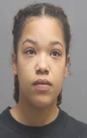 DAILY INCIDENT REPORT