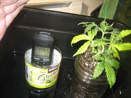 They are all used up by the time u harvest. Why Does Fox Farm Happy Frog Have A Ph Of 4 8 Rite Out Of The Bag Cannabis Cultivation Growery Message Board