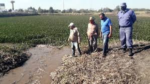 La reunión que sostuvo el timonel de rn, mario desbordes, y los líderes de los partidos de la ex concertación, no sólo generó molestia en la udi y evópoli, sino que también removió las aguas al. Palo Santo Recibe El Agua De Los Desbordes Del Rio Pilcomayo Agroempresario Com