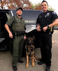 Williamson County Police Dogs Texas Police Military Dogs