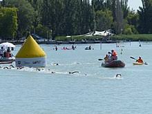 Check spelling or type a new query. Swimming Sport Wikipedia