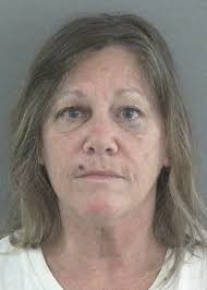 Villager who made scene in ER at Villages hospital sentenced