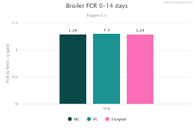 Broiler Fcr 0 14 Days Feedase