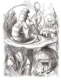 Certainly, alice's burning curiosity to absorb everything she sees in wonderland sets her apart from the other wonderland creatures, making her seem mad in. A Chronicle Of Ideas Ch 2 The Cheshire Cat Ray Kurzweil