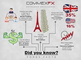 5 Forex Facts Forex Trading Forex Trading