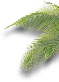 Tyga · rae sremmurd · rick ross · jack harlow · polo g . Summer Unlocked Concert Friday July 23rd