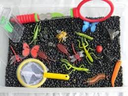 We did not find results for: Insect Sensory Bin Sensory Bins Insect Sensory Bin Sensory Table