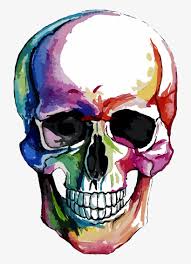 Alternative, classic and delicate at the same time. Sugar Skull Tattoo Watercolor Free Transparent Png Download Pngkey