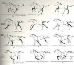 Maybe you would like to learn more about one of these? Pferdegalopp Ref Gallop Pferd Ref Zeichnungen Pferde Zeichnen Zeichenvorlagen Zeichnungen Tiere