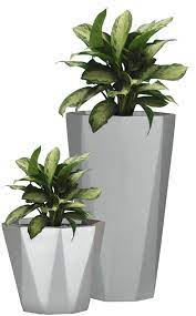 Plant Png Images Google Search Kleine Blumentopfe Kubelpflanzen Moderne Blumenarrangements