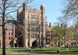 Yale provides dependable forklifts and leading warehousing solutions for all industries. Yale Student Protests Why They Are The Campus Pc Wars At Their Best