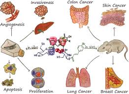 Although scientists have identified many risk factors that increase a woman's chance of developing. Anthocyanins Smart Molecules For Cancer Prevention Intechopen